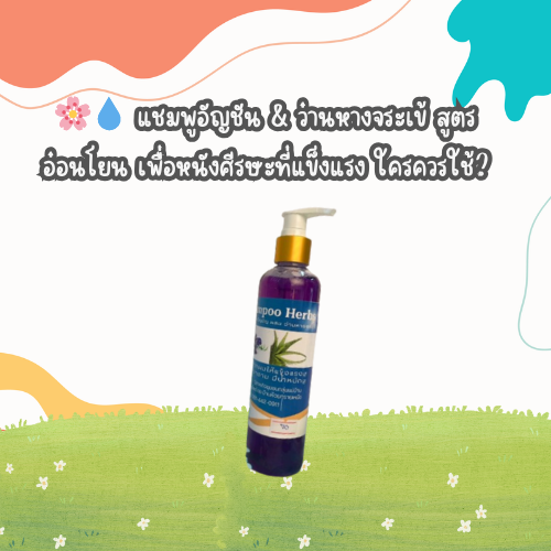 แชมพูอัญชัน & ว่านหางจระเข้ สูตรอ่อนโยน เพื่อหนังศีรษะที่แข็งแรง ใครควรใช้